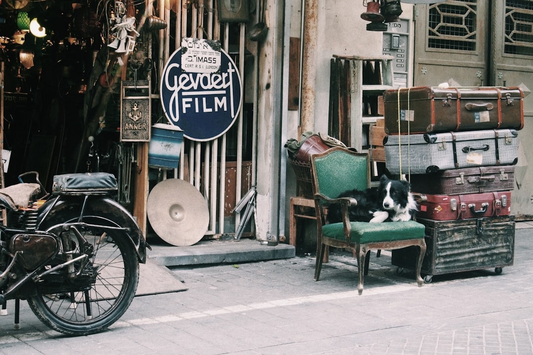 Vaciamos su piso en Martorell en menos de 24 horas